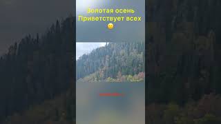 Золотая осень! #рыбалка #ловляхариуса #мушки #fishing #мушкинахариуса