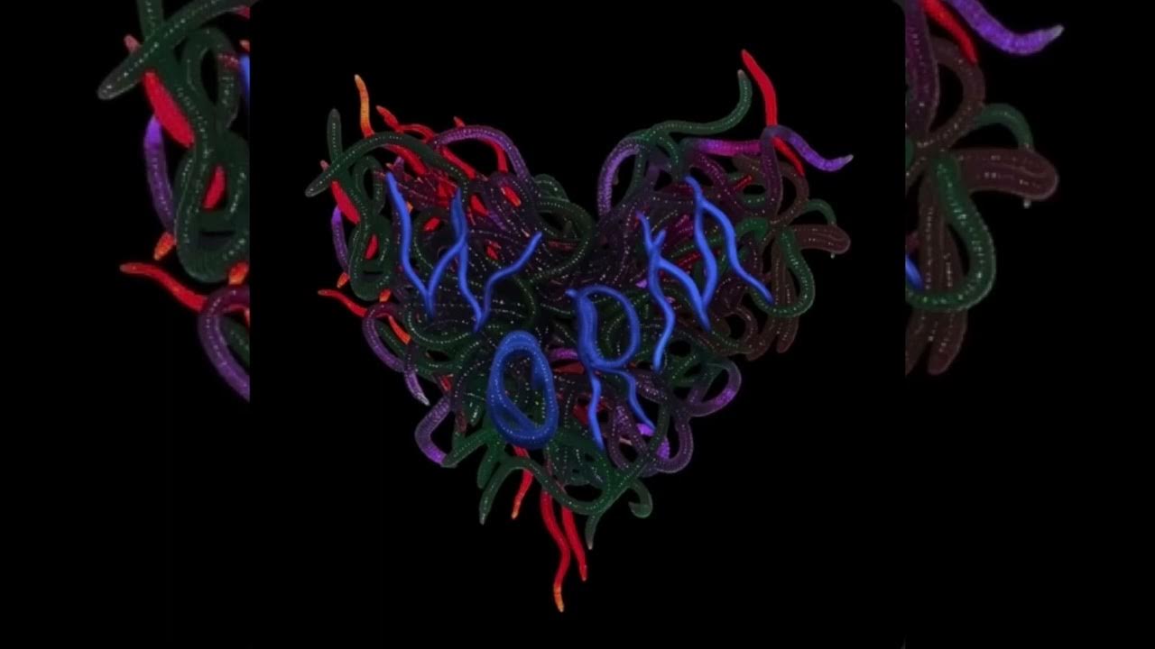 IC3PEAK, kim dracula - Червь / Worm 8D IC3PEAK, kim dracula - Червь / Worm 8D