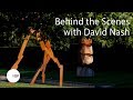 Behind the scenes with david nash