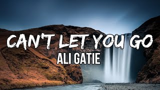 Ali Gatie - Can't Let You Go (Lyrics)