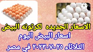 سعر البيض اسعار البيض اليوم الثلاثاء ٢٥-٧-٢٠٢٣ في الشركات في مصر
