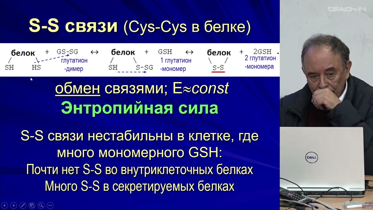 Финкельштейн А.В. - Физика белка - 6.Элементарные взаимодействия в белковых молекулах. Часть 2