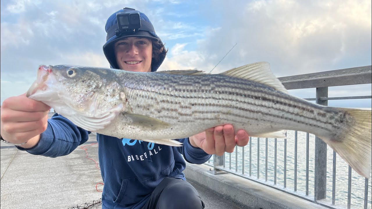 Striper Fishing Secrets Revealed! Bay Area STRIPED BASS Fishing 