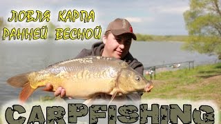 Ловля карпа ранней весной. Тактика по холодной воде.(Группа о ловле карпа - http://vk.com/carpfishing_club Ловля карпа ранней весной очень интересная и в то же время сложная...., 2016-05-24T06:46:16.000Z)