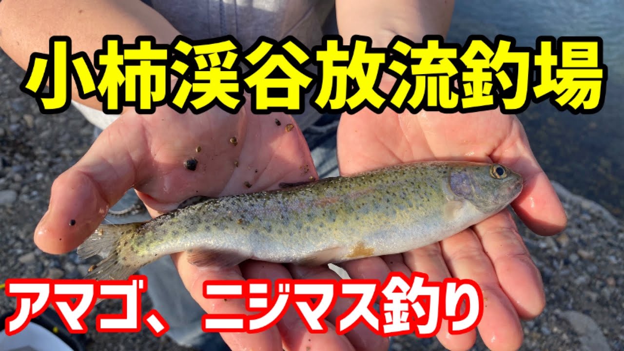 #25【管理釣り場】小柿渓谷放流釣場ではじめての淡水魚釣り