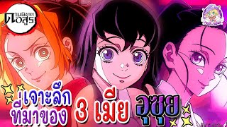 ลบดราม่า 3 เมีย เจาะลึกที่มาและประวัติของภรรยาทั้งสามคนของ อุซุย เทนเง็น ⚔️ดาบพิฆาตอสูร ⚔️