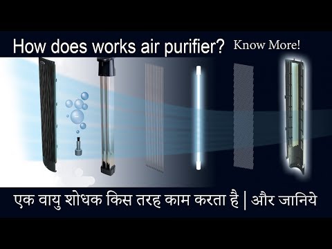 वीडियो: क्लोरोफाइटम क्रेस्टेड - एक उत्कृष्ट इनडोर वायु शोधक, इसे एक अपार्टमेंट में कैसे विकसित किया जाए