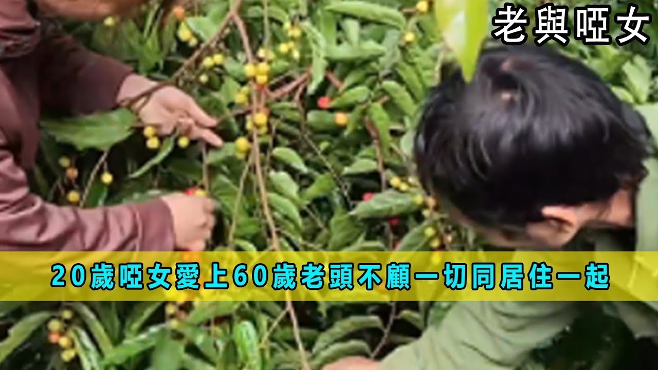 一口气看完：20歲啞女愛上60歲老頭，不顧一切同居住一起，沒錢只能啃麪包《老與啞女》合集