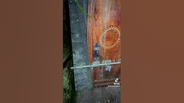 Stepping into a small Cornish mine #cornwall #exploreingcornwall #hiddengems #abandonedmines