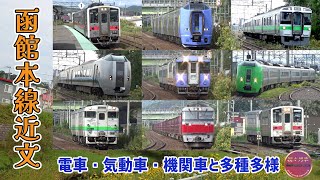 【JR北海道＆貨物】平日早朝に近文駅付近を走る函館本線の列車【続々列車】