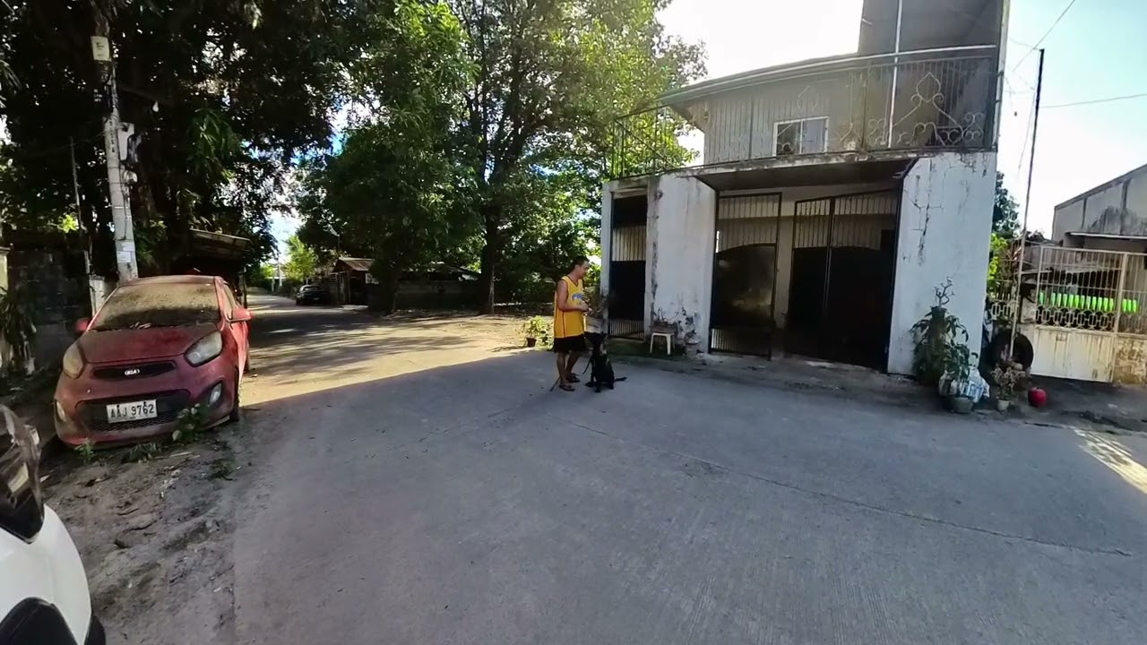 Reporting Video to Our Client: LUNA (BELGIAN MALINOIS) REPORTING VIDEO