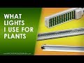 Three types of lights I use to grow plants. (One might surprise you!)