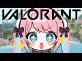 〖 VALORANT 〗負けないソロコンペ 🐣 〖 #ひなぴよ 〗