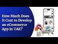 How Much Does It Cost to Develop an eCommerce App in UAE?