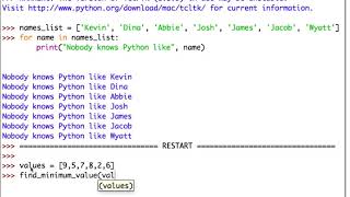 Python Primer 6: Loops