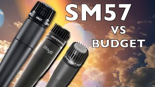 Shure SM57 VS Stagg SDM70 VS PylePro PDMIC78  Microphone Shootout