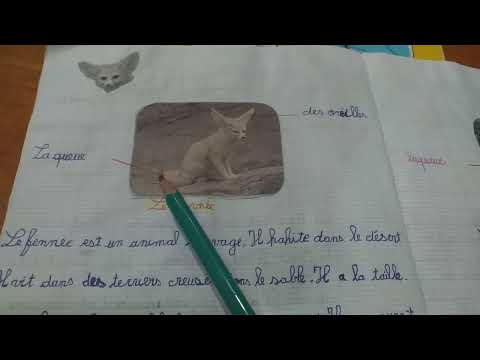 وضعية ادماجية عن الفنك سنة خامسة ابتدائي لغة فرنسية