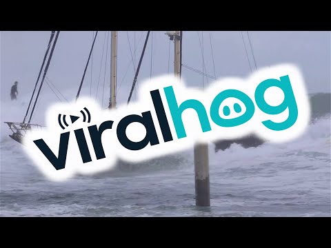 Even Boats Can Surf in Hawaii || ViralHog