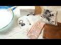 HOW TO CLEAN SILVER/ROSE GOLD PANDORA JEWELRY 2020