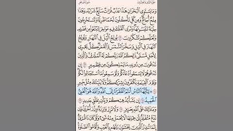 💓 ما تيسّر من سورة فاطر 📖  القارئ : أنس المالك🌻