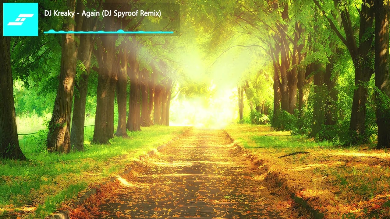 DJ Kreaky - Again (DJ Spyroof Remix)