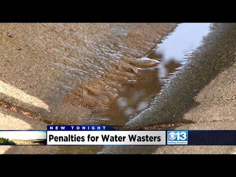 Yuba City Homeowner Fined $250 As City Cracks Down On Water Usage