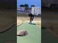 Coolest Shots You’ll Ever See 😱 #golf #minigolfing #minigolf
