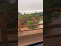 Ponte do rio Ijuí