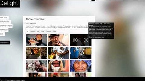 Delight Fullscreen Wordpress Portfolio Theme