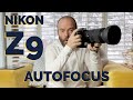 Nikon Z9 Real World Autofocus Demonstration / Test for Action and Wildlife