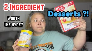 Popular 2 Ingredient Dessert Recipes || Are They Worth The Hype??