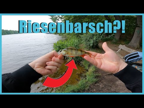 Die SUCHE nach