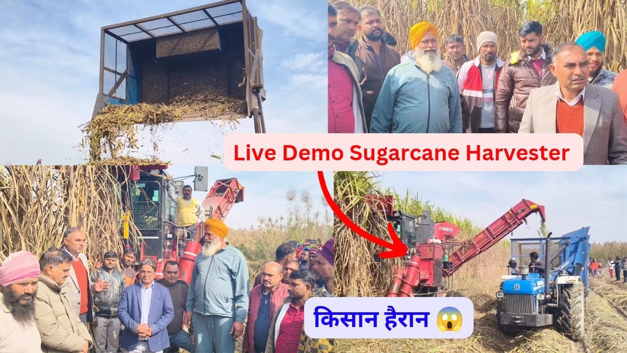 आज का Live Demo of Sugarcane Harvester । शुक्रताल  मुजफ्फरनगर में uttam sugar mill की तरफ से डेमो। 