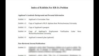 How to DIY EB-1A I-140 - part 2 layout of index and personal information