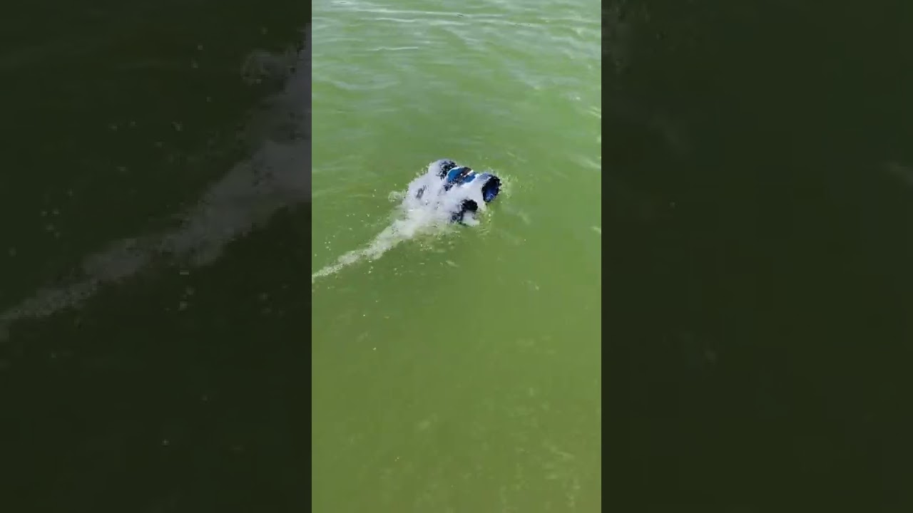 Oops! The remote control car accidentally fell into the water...