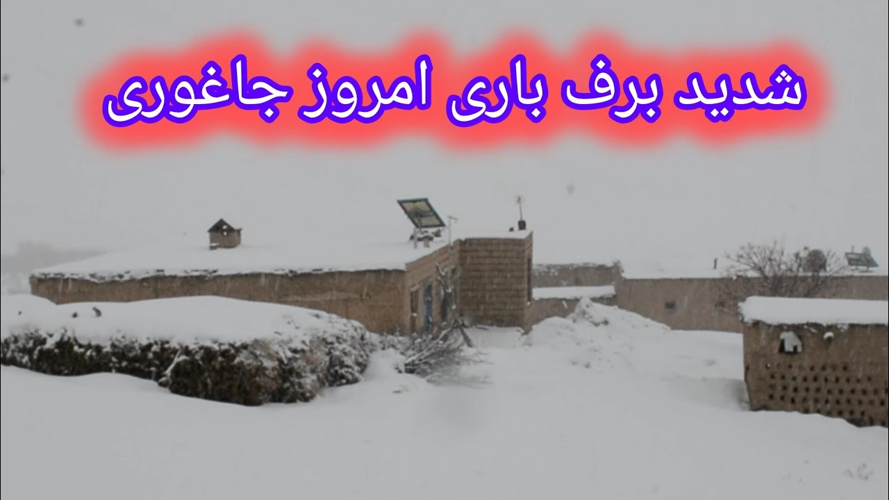 ماشاالله برف باری شدید منطقی جاغوری امروز#جاغوری_زیبا #فرهنگ_هزارگی #دهمرده_گلزار 