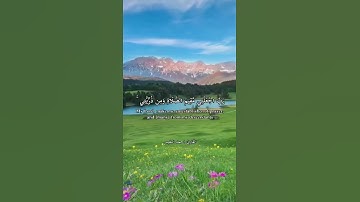 سورة إبراهيم أبو نعيم