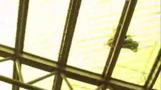 Free Pegasus - Trailer