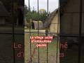 Ref:H5MugOYtRbg Montcornet : maisons gauloises ??? ? extrait de vid�o