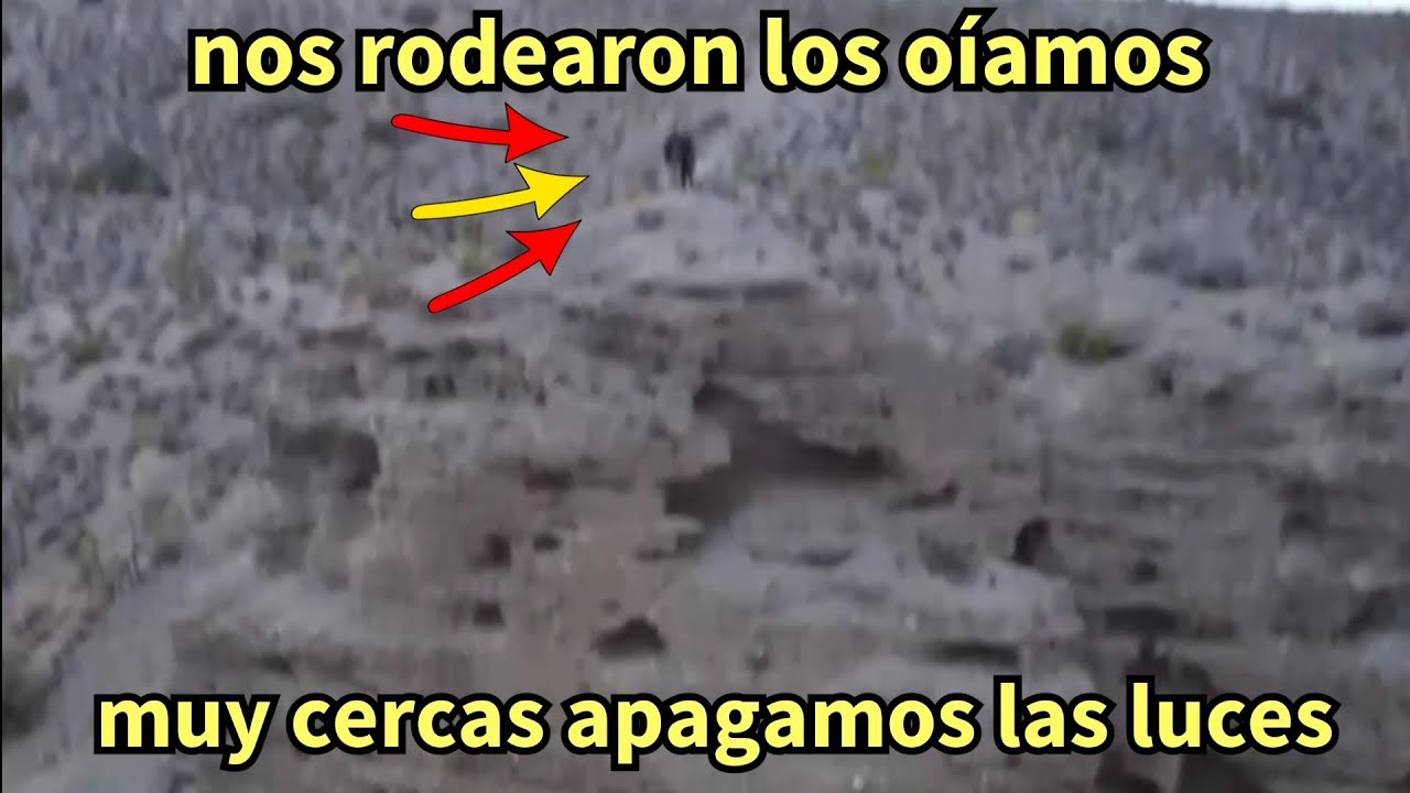 Volamos el drone encontramos lugares ocultos y nos rodearonlos coyotes ave# 497