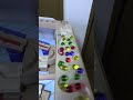 marble Run 木製ウェーブスロープ 小さな大工さん クアドリラ HABAラージサークル 鉄琴 Wooden ramp 2026-7/11②#marble race #ｍarble run