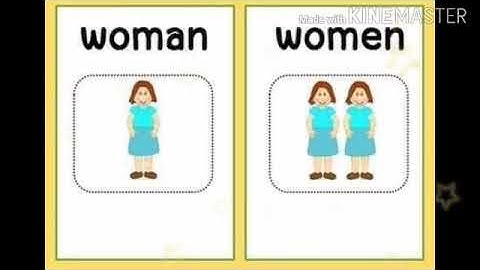 Bridge course English singular and plural words