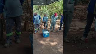 PASTORAL DA MORADIA DE GAMELEIRA GOIÁS.