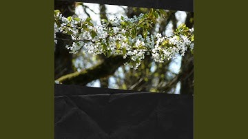 Groovy Backdrops for Lazy Days