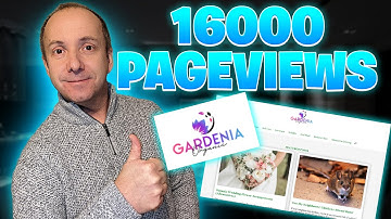 Aged Domain Case Study - INCOME REPORT 💰