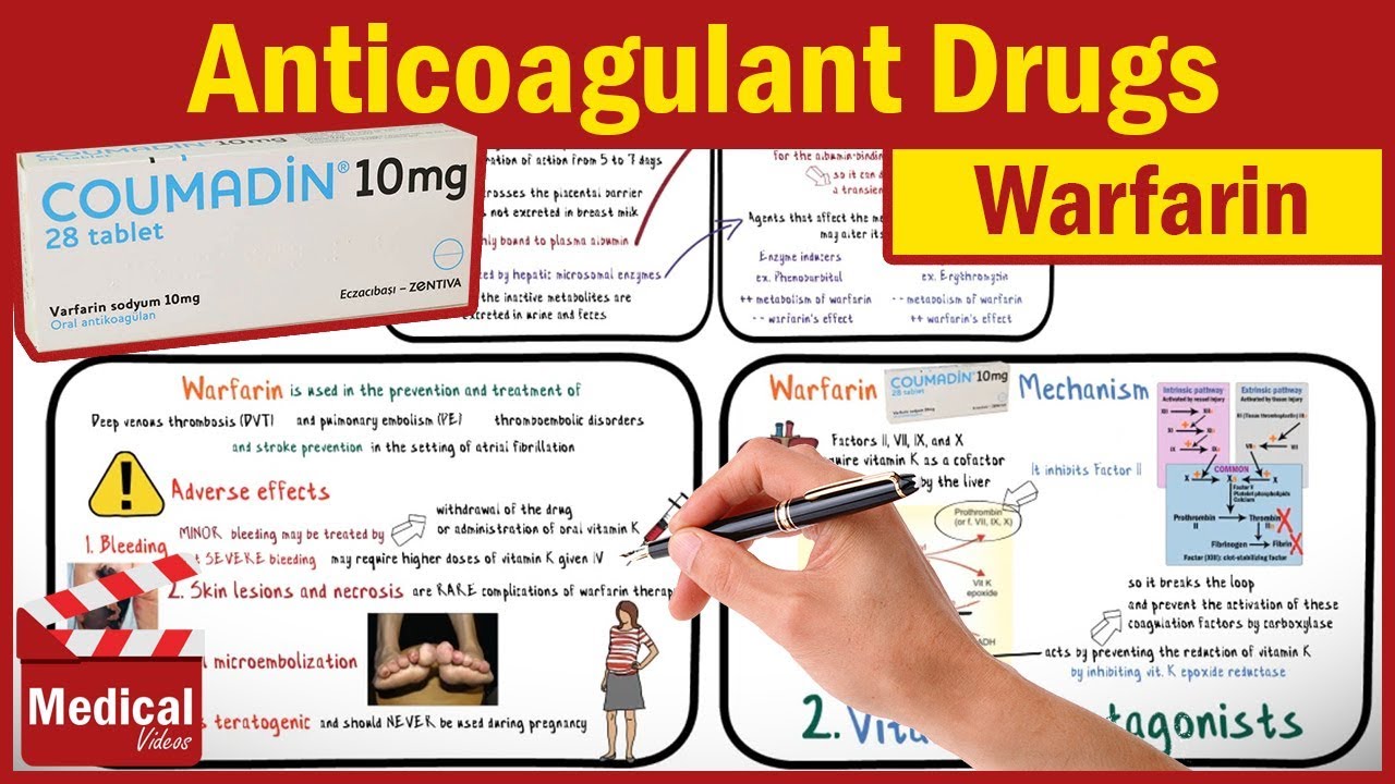 Pharmacology [CVS] 22 Anticoagulant Drugs [ Part 2 Warfarin mechanism