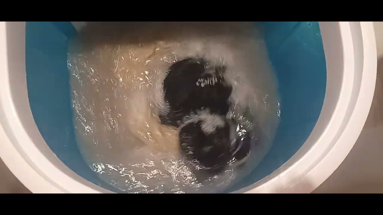 Washing machine Sigma washing 2 t-shirts #pralka #sigma #washingmachine 