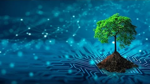 Synthesis and Characterization of Zinc Oxide Nanoparticles using Jackiopsis ornata Leaves Extract