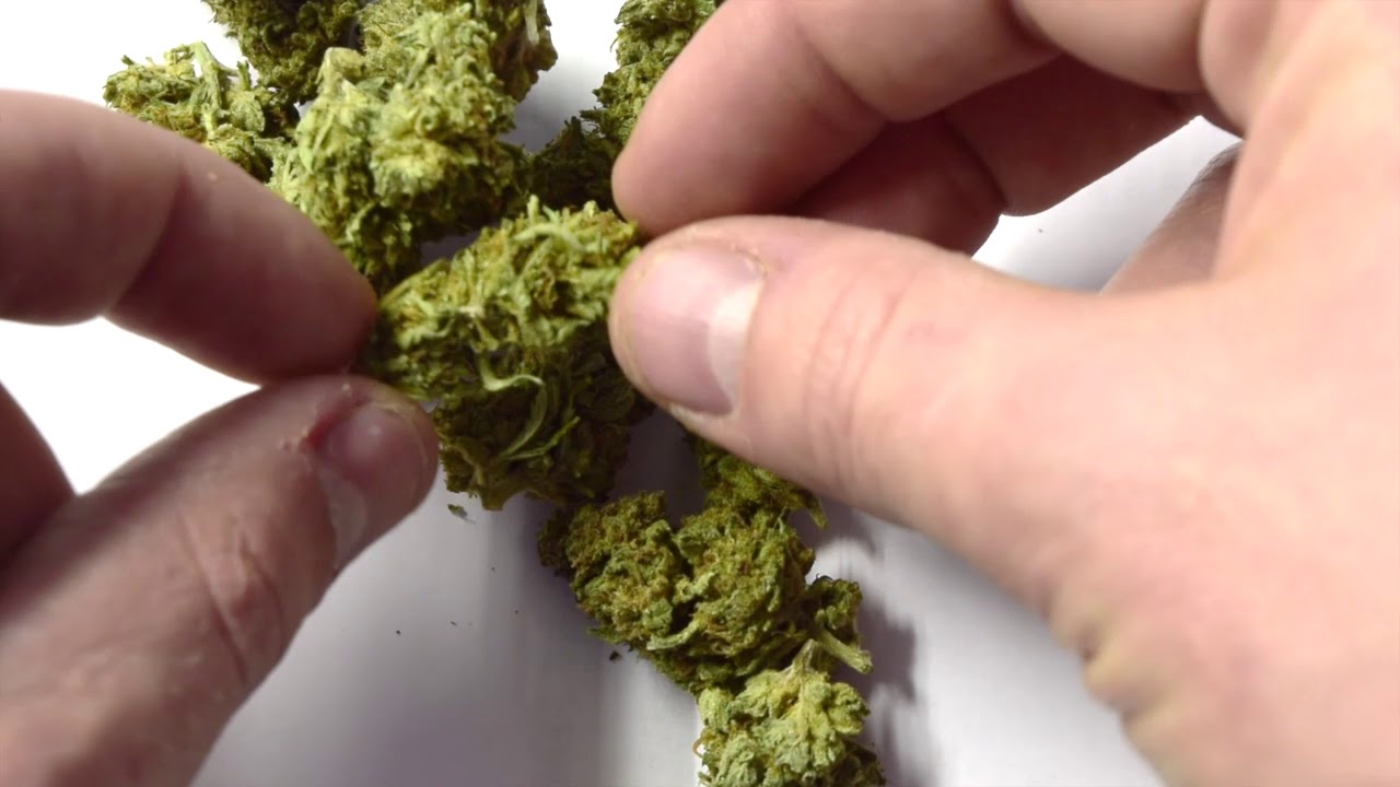 CBD Hemp Flower Review! Tweedle Farms Outdoor Grown