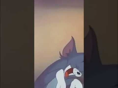 ضحكة توم